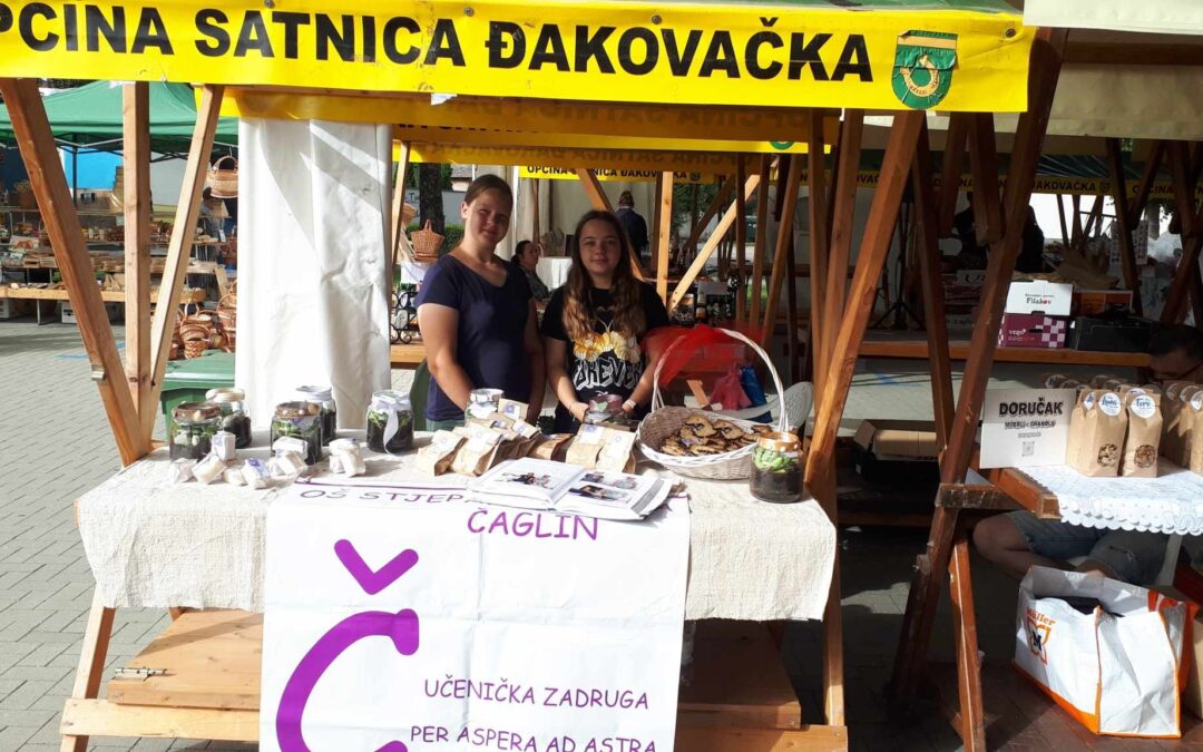 Đakovo Expo zlatne ruke – zadrugari predstavili proizvode